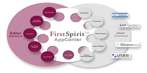 twt-firstspirit